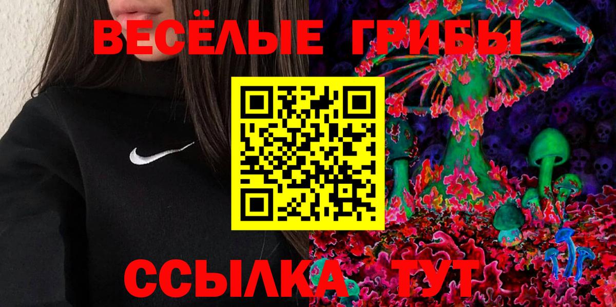 купить   Псилоцибиновые грибы MAGIC MUSHROOMS  Вход с VPN  Псилоцибиновые грибы MAGIC MUSHROOMS  Беслан 